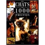 Les chats en 1000 photos