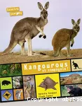 Kangourous et compagnie !