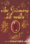 Le grimoire au rubis 1 : Bertoul et le secret des hiboux