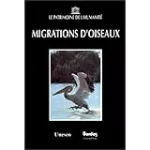 Migrations d'oiseaux