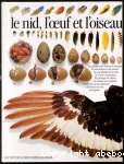 Le nid, l'oeuf et l'oiseau