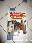 Copain des chevaux. A la découverte des fils du vent