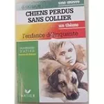 Chiens perdus sans collier