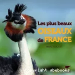 Les plus beaux oiseaux de France