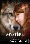 Mystère : le roman