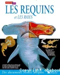 Les requins et les raies