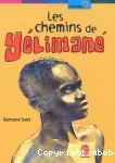 Les chemins de Yélimané