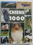 Les chiens en 1000 photos