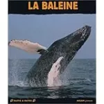 La baleine