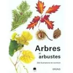 Arbres et arbustes